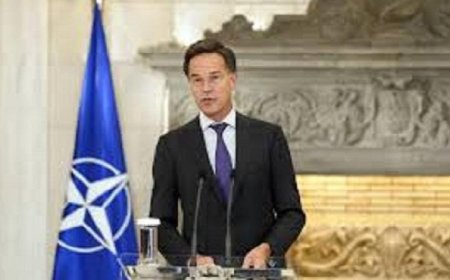 أمين عام الناتو يصل واشنطن الأسبوع المقبل للاجتماع مع ترامب