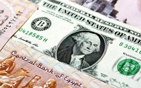 استقرار أسعار الدولار اليوم مقابل الجنيه في البنوك المصرية بدون تغييرات