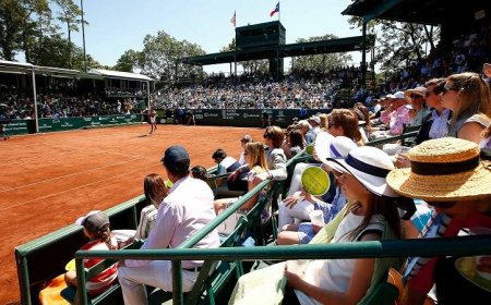 تيرانتي الأرجنتيني يتألق ويتأهل إلى نصف نهائي بطولة هيوستن للتنس