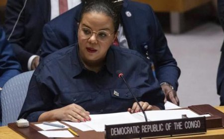 محادثات دبلوماسية مثمرة بين الكونغو الديمقراطية والولايات المتحدة لتعزيز جهود السلام