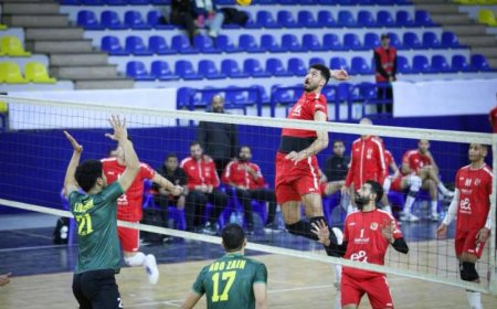 الأهلي والزمالك وسموحة والجزيرة يتأهلون لنصف نهائي بطولة كأس الطائرة