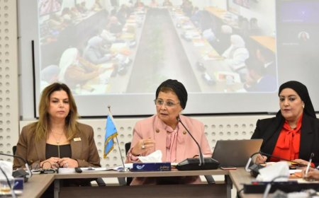 نائب وزير الصحة تناقش سبل تعزيز الوصول إلى وسائل تنظيم الأسرة في القطاع الخاص