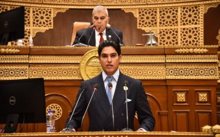 مجلس الشيوخ يستعرض مشروع قانون جديد لحماية المنافسة ومكافحة الممارسات الاحتكارية