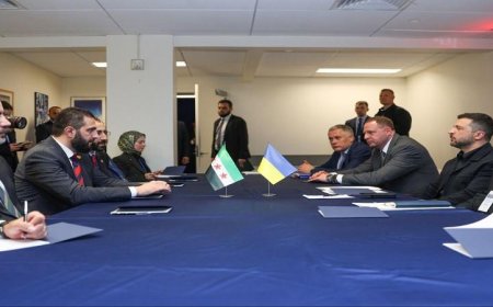 الرئيس الأوكراني يعلن استعداد بلاده للتعاون مع سوريا من أجل تنمية مستدامة لشعبي البلدين