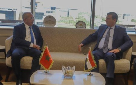 وزير الزراعة يعزز التعاون الاستثماري الزراعي مع نظيره المغربي