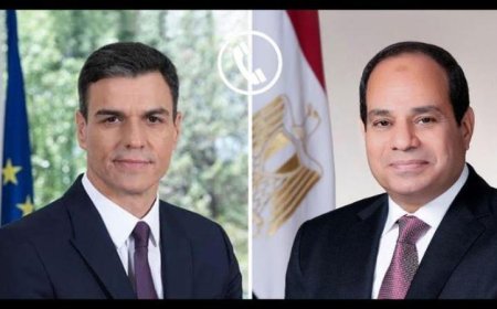 الرئيس السيسي يؤكد إدانة مصر القوية للاعتداءات على الدول العربية الشقيقة