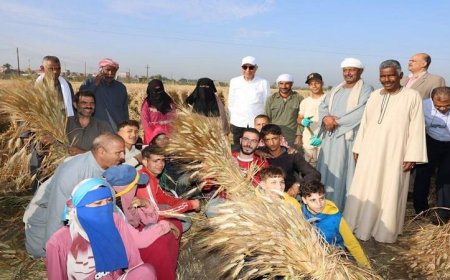 محافظ المنيا يعلن تجهيز 42 موقعًا لاستقبال القمح بسعة 465 ألف طن لتعزيز الاقتصاد المحلي