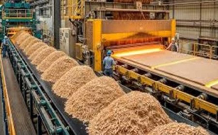 ابتكار ألواح بناء مقاومة للحريق من مخلفات الأخشاب والمعادن لتحسين السلامة البيئية