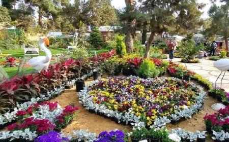 افتتاح معرض زهور الربيع بالمتحف الزراعي يوم الأحد احتفالا بشم النسيم بانطلاقته الجزئية