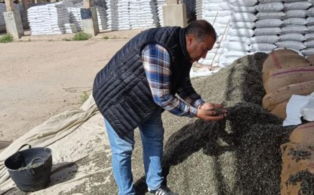 وزارة الزراعة تستعد لتوزيع أكثر من 15 ألف شيكارة قطن من تقاوي المزارع لتعزيز الإنتاج الزراعي