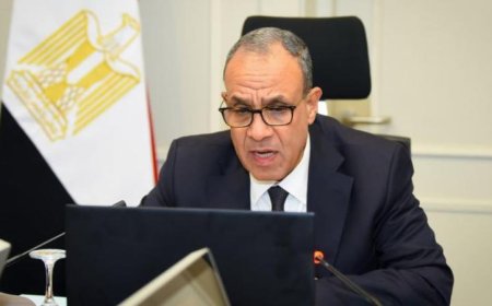 وزير الخارجية يتواصل مع أبناء الجالية المصرية في الأردن خلال اجتماع افتراضي مثير للانتباه