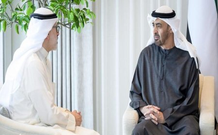رئيس الإمارات ووزير خارجية الكويت يتناولان أبرز تطورات الأوضاع في المنطقة