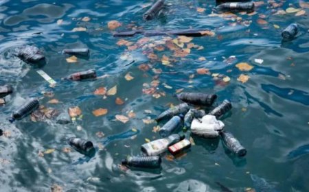 رئيس الرأس الأخضر يطلق دعوة قوية لـ 20 دولة أفريقية لتعزيز التعاون لحماية البيئة البحرية