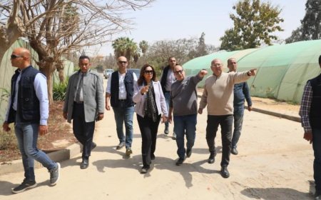 د. منال عوض تعلن عن خطة لتطوير المشتل المركزي في القاهرة الجديدة لزيادة الإنتاج وتعزيز جهود التشجير