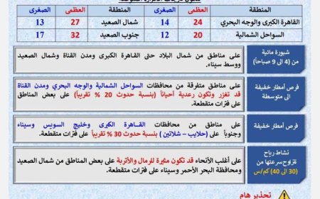 الأرصاد الجوية تكشف عن طقس اليوم المائل للحرارة نهاراً وبارد ليلاً مع تسجيل 14 درجة للصغرى في القاهرة