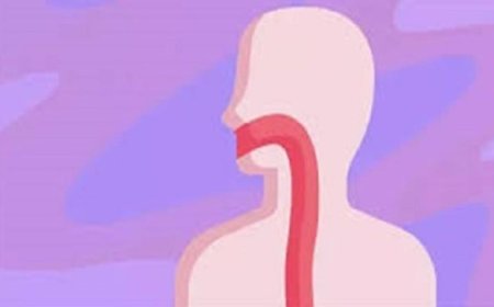 مريء معملي مبتكر ينمو مع الجسم لتحقيق النجاح في الزراعة الطبية