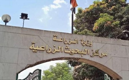 تحليل 111 ألف عينة غذائية في الربع الأول من 2026 يعكس جهود وزارة الزراعة لتعزيز سلامة الغذاء