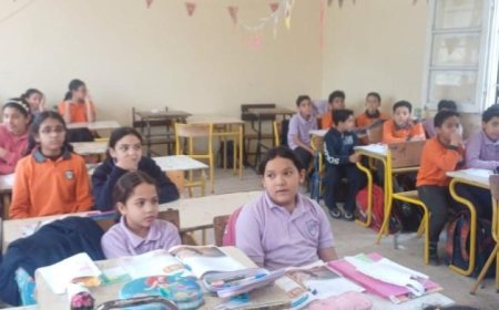 تعليم المعادي ينفي انهيار أي جزء من سقف فصل مدرسة ليسيه الحرية