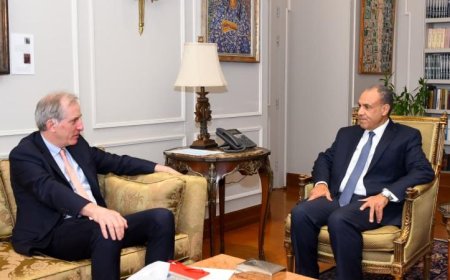 وزير الخارجية يتناول مع الممثل الأوروبي آخر مستجدات الأوضاع في فلسطين