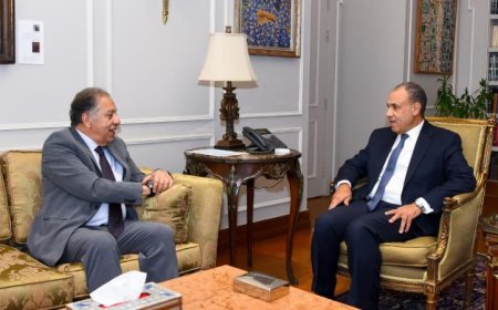 وزير الخارجية يعبر عن فخره بالتعاون المثمر بين وزارة الخارجية والبرلمان المصري