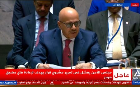 مجلس الأمن يخفق في اعتماد قرار لإعادة فتح مضيق هرمز الحيوي