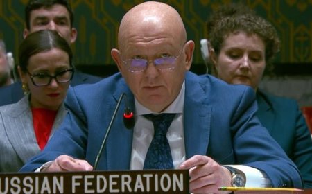 روسيا تصف مشروع القرار بشأن هرمز بالمنحاز والخطير وتخطط لتقديم نص بديل متوازن