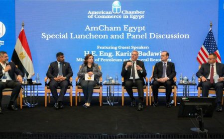 بدوي يؤكد أن المحفزات أدت إلى إنعاش استثمارات الغاز والبترول في البحث والإنتاج