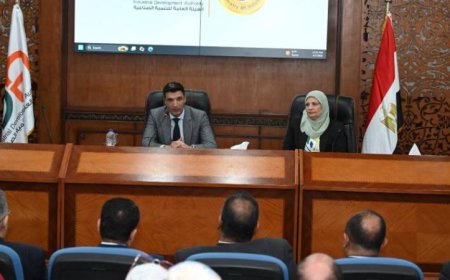 وزير الصناعة يستعرض سبل تحسين الأداء وزيادة كفاءة الخدمات للمستثمرين