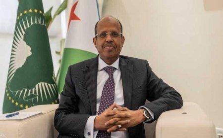 مفوضية الاتحاد الأفريقي تشيد بمصر والوسطاء في نجاح التوصل لوقف إطلاق النار