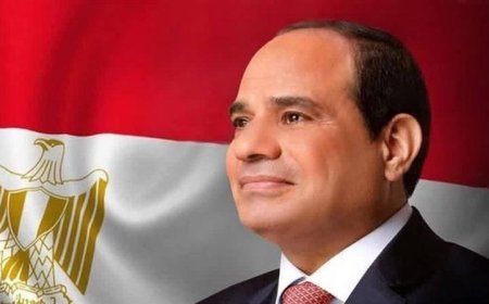 الرئيس السيسي يدعو إلى التوسع المدروس في مشروعات الطاقة الجديدة والمتجددة لتعزيز الاستدامة