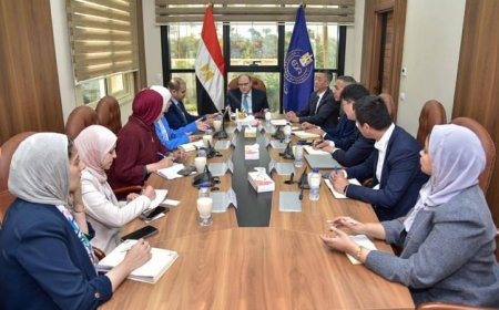 الغمراوي يتفاوض مع شركة ترايمف جونهنغ الصينية بشأن استثمارات بقيمة 250 مليون دولار