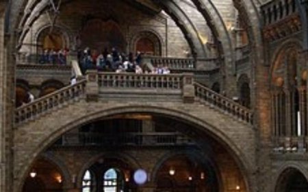 اكتشاف قلادة سن فقمة يكشف أسرار حياة البشر في بريطانيا قبل 15 ألف عام