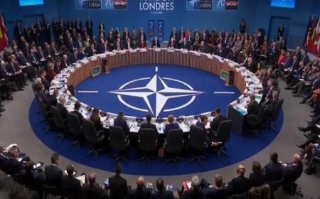 روته يبدأ زيارته إلى الولايات المتحدة بلقاء مع روبيو لبحث تعزيز التنسيق الثنائي