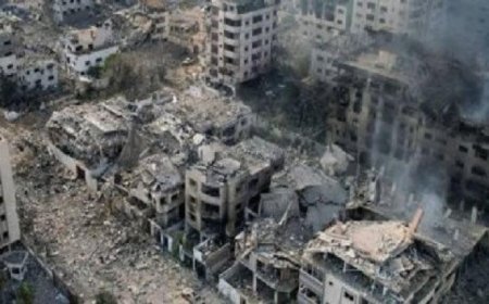 ارتفاع عدد الشهداء في غزة إلى 72317 والإصابات تتجاوز 172158 منذ بدء العدوان