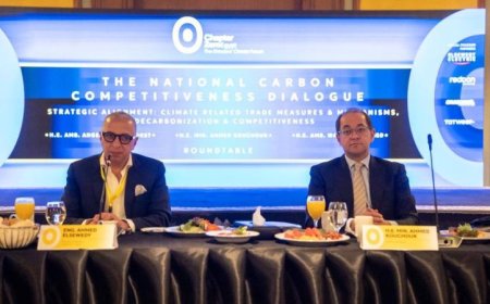 وزير المالية يعلن خطوات قوية لتحسين كفاءة استهلاك الطاقة