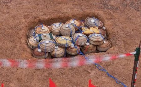 مشروع مسام يدمر 4925 قطعة من الألغام والمخلفات الحربية في باب المندب