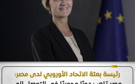 رئيسة بعثة الاتحاد الأوروبي تبرز دور مصر الفعال في معالجة الأزمات الإقليمية