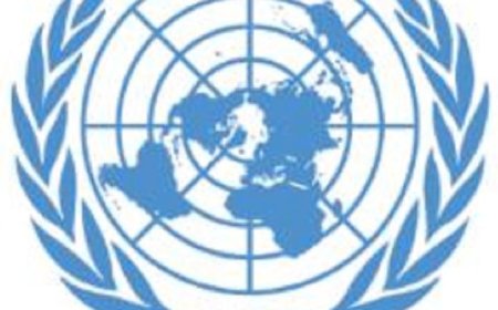 الأمم المتحدة تنبه إلى الأثر الكارثي للصراع في الشرق الأوسط على حياة النساء