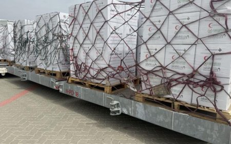 إمارات تقدم 100 طن من المساعدات الغذائية عبر جسر حميد الجوي لإغاثة قطاع غزة