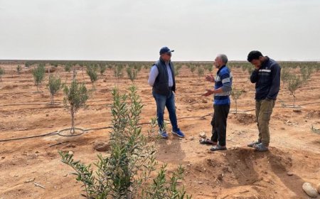 مركز بحوث الصحراء في وزارة الزراعة يرصد المحاصيل الاستراتيجية في سيناء قبل موسم الحصاد