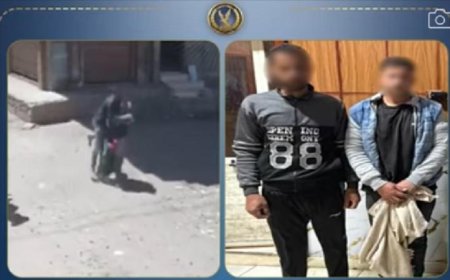 تفاصيل جديدة حول فيديو استغاثة سيدة من خطف طليقها وشقيقه لنجليهما