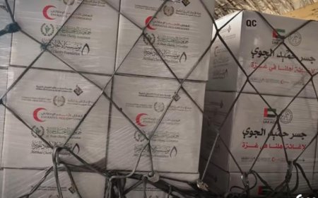 مطار العريش يستقبل طائرة مساعدات إماراتية للمساعدة في أزمة غزة