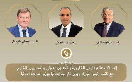 وزير الخارجية يناقش مع نظيريه الألماني والإيطالي تطورات الأوضاع في المنطقة