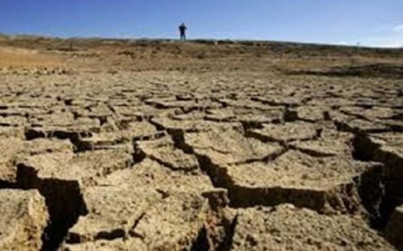 دراسة جديدة تكشف كيف يعزز الجفاف مقاومة البكتيريا للمضادات الحيوية بشكل متسارع