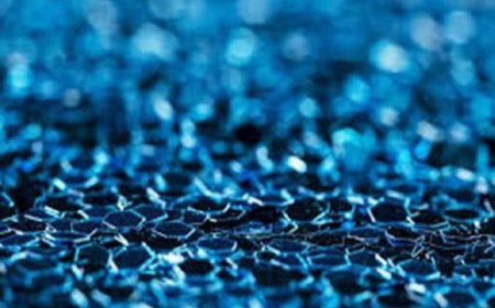 أكسيد الجرافين سلاح نانوي يقتل البكتيريا ويعزز حماية الخلايا البشرية