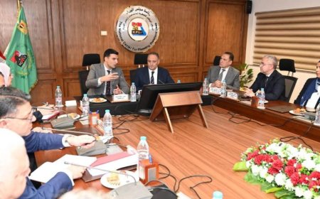 وزير الصناعة يعقد جلسة لمناقشة تسهيل إجراءات المستثمرين وحوكمة طرح الأراضي الصناعية