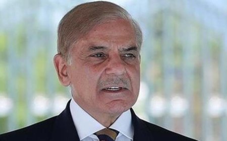 رئيس وزراء باكستان يجتمع بالوفد الإيراني قبيل محادثات السلام الهامة مع واشنطن