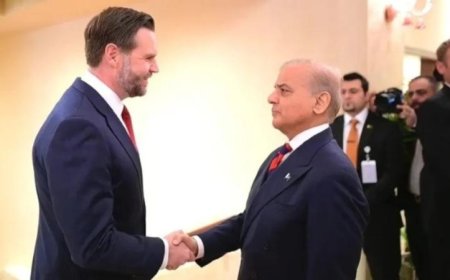 رئيس وزراء باكستان يعقد لقاءً مثمرًا مع فانس ويثني على التعاون في المحادثات بين واشنطن وطهران