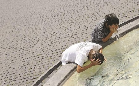 دراسة تكشف تأثير تغير المناخ على تمديد فصل الصيف وبدايته المبكرة