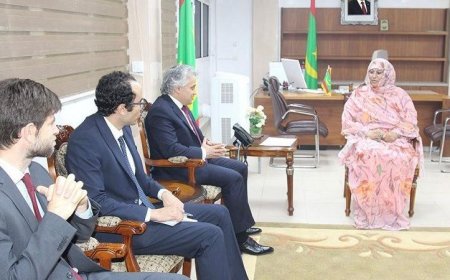 سفير مصر في نواكشوط يلتقي وزيرة الإسكان الموريتانية قبيل زيارتها لمصر